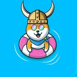 Aqua Floki
