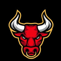 EtherBull