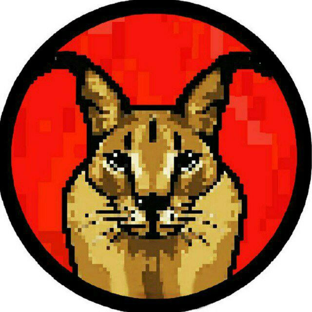BurnFlopper