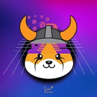 Ploki
