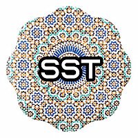 Safe Side Token