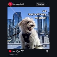 Biscuit
