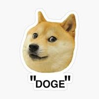 TRADITIONAL DOGE