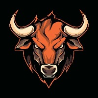 Bull π