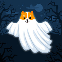 GhostFloki