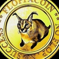 Floppacoin