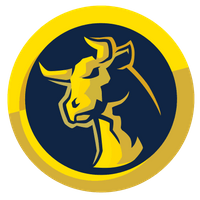 BitMagge Token