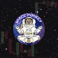 SPACE MONKEY