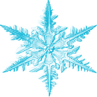 Snowflake Token