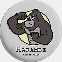 Harambe