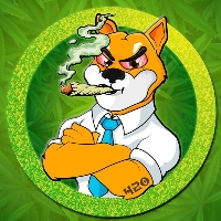 Stoner Shiba