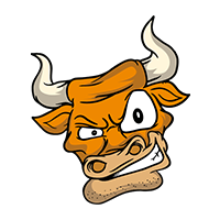 11Bulls