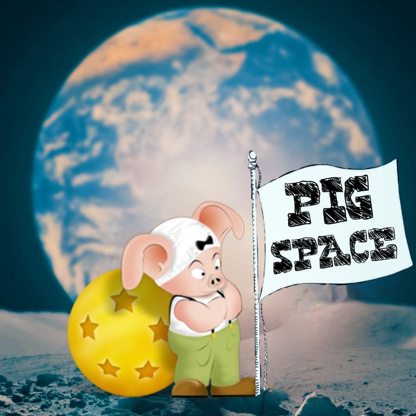 Pigs Space
