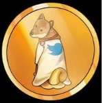 TDOGE BLACK