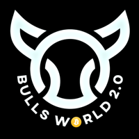 Bulls World 2.0