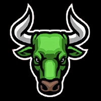 Basically Bullish