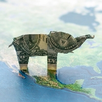Big Elephant Money