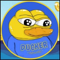 RUBBER DUCKER