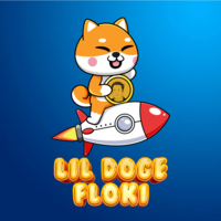 LilDogeFloki