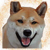 Foxy Shiba