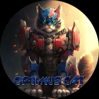 Optimus cat