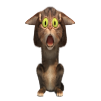 New Community Cat
