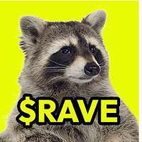 RaveRacoon