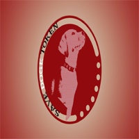 Save Doge Token