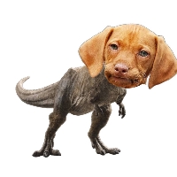 JurassicBark