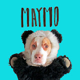 MaymoTheDog