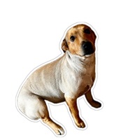 Meta The Doggo