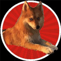 Nueva Inu
