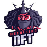 METAKING NFT