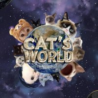 Cat's World