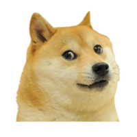 Doge Logo