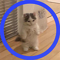 MICHI