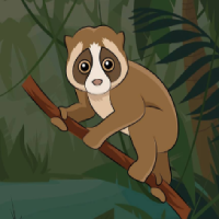 BabyLoris