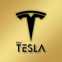 TinyTesla