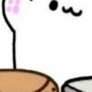BONGO CAT BSC
