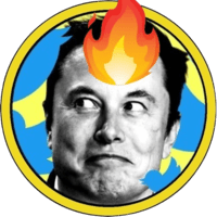 Elon Musk Burning Coin