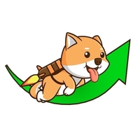 PumpFloki