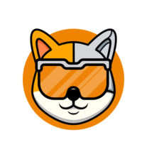 ROBOT SHIB