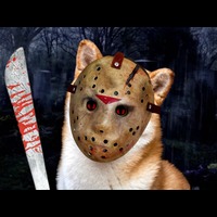 Jason Inu