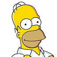 HOMER SIMPSON