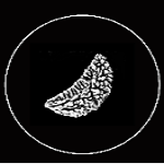 ShivX