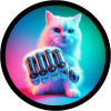 Catslap