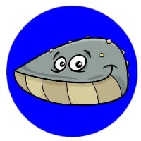 Mussel