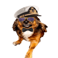 Zobi