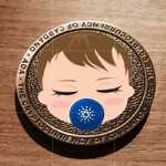 BabyCardano