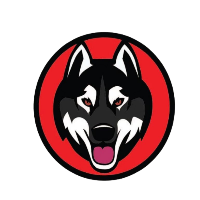 Kaiken Inu